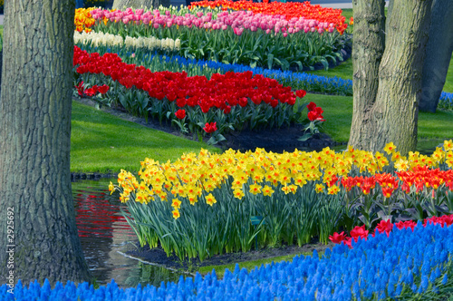 colorful flower garden in spring