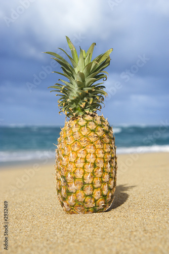pineapple on tropical beach.