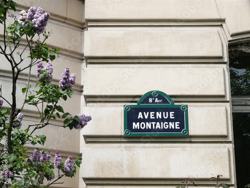 Vászonkép avenue montaigne et lilas