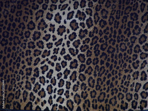 patterns