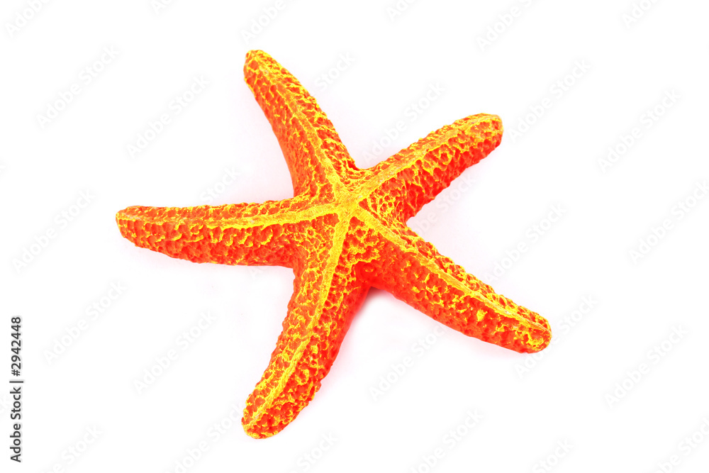 orange starfish