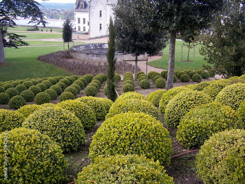 the gardens at amboise 2