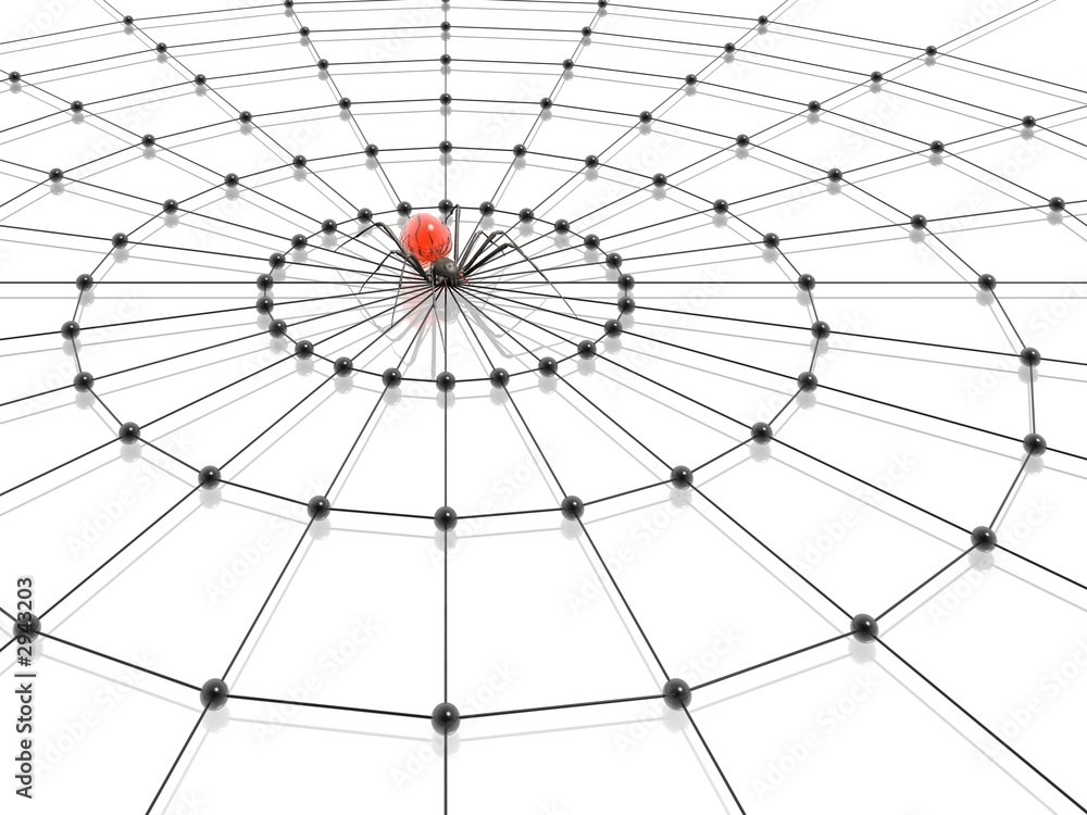 Obraz premium spider and web