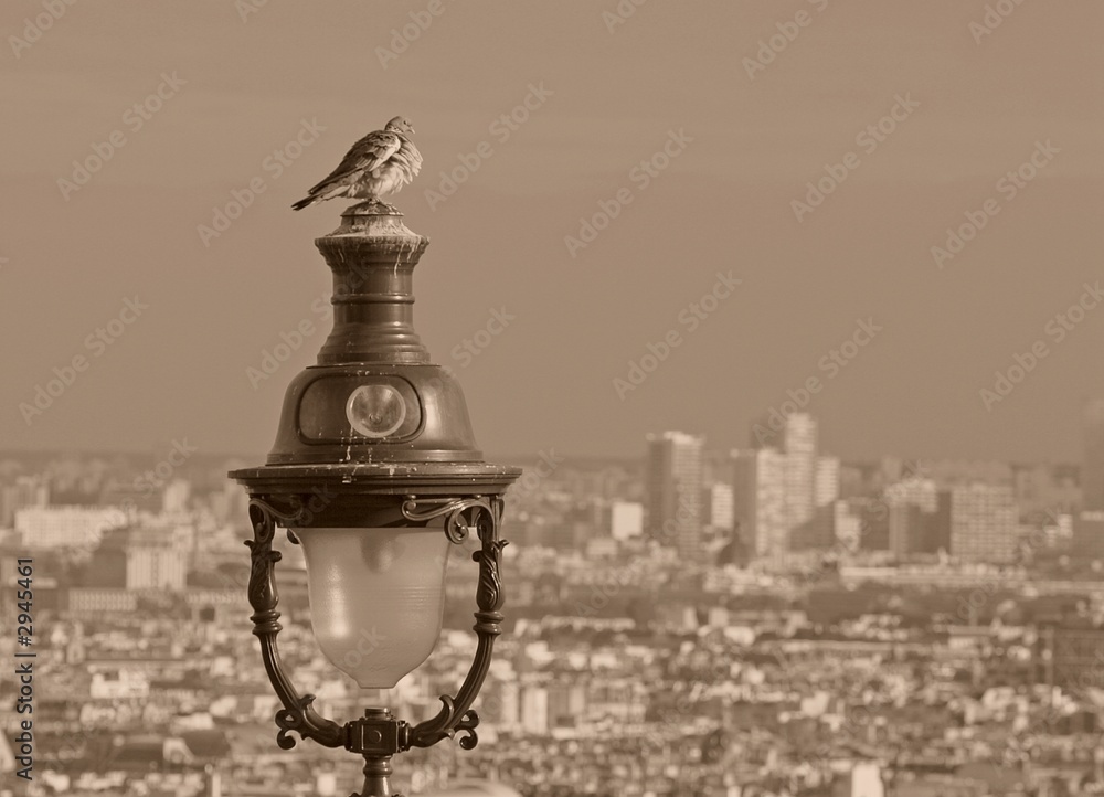 Obraz premium paris