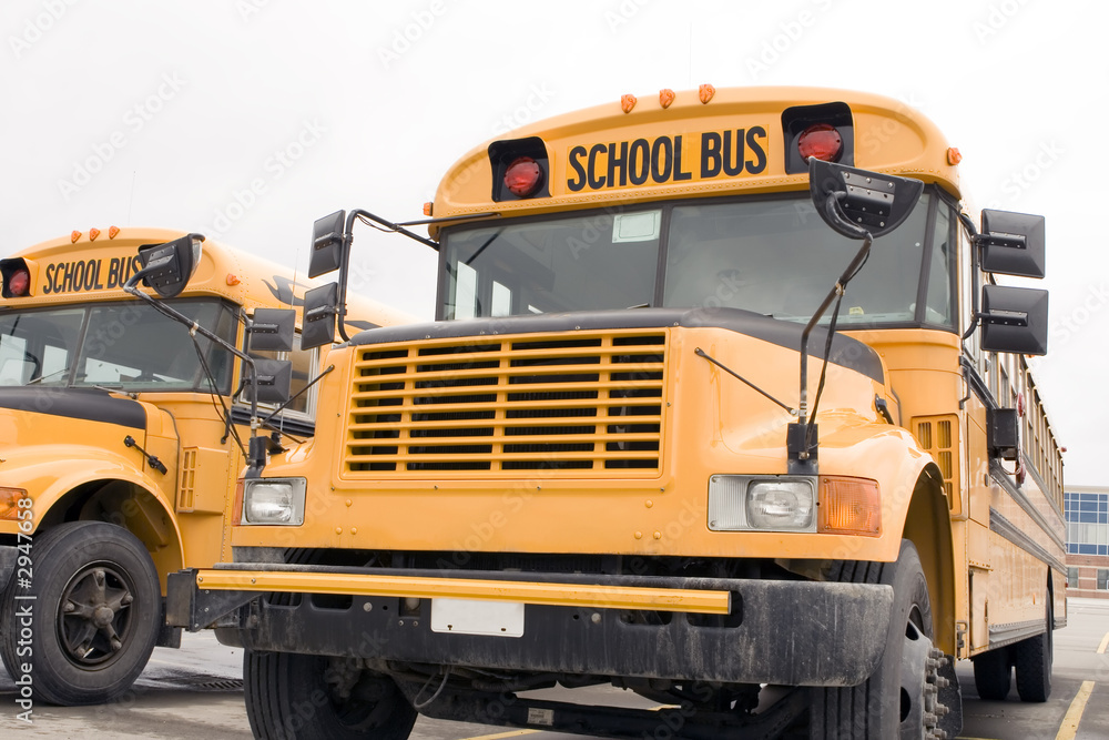 Fototapeta premium school buses