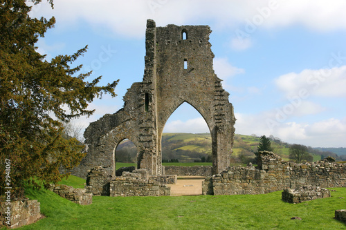 ancient abbey ruins photo