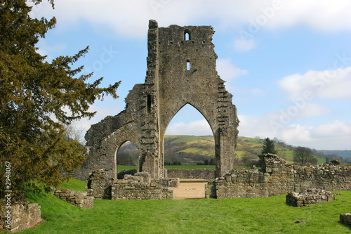 ancient abbey ruins