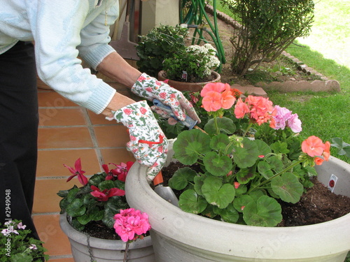 female gardener