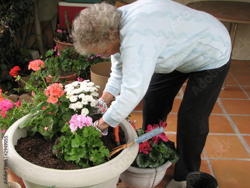 senior female gardening