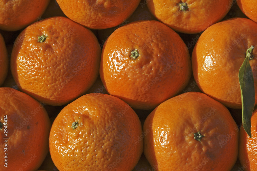 tangerines at a paris market tangerines at a paris market