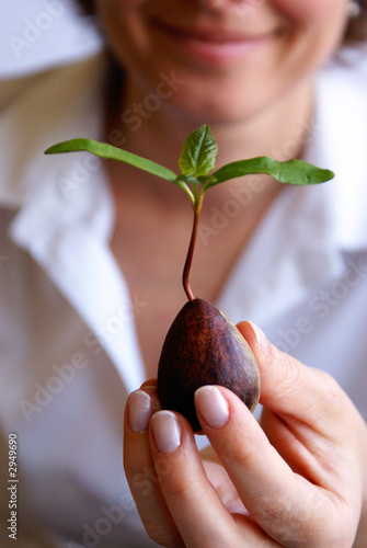Photography businesswoman with plant