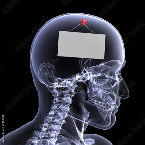 skeleton x-ray - out to lunch 2