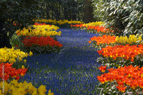 colorful flower garden in spring