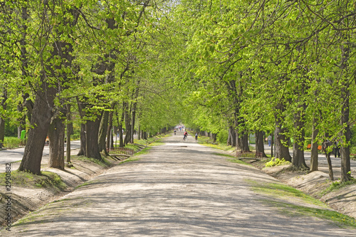 summer park alley