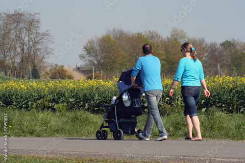 promenade en campagne