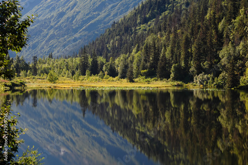lake in the kenai peninsula alaska
