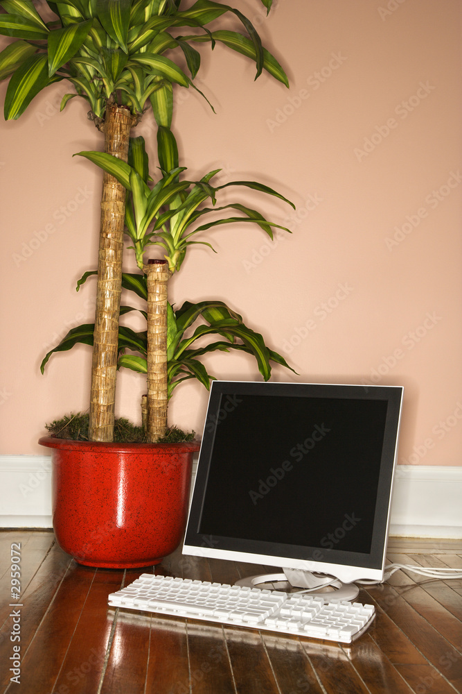 computer on floor with houseplant. computer on floor with houseplant.
