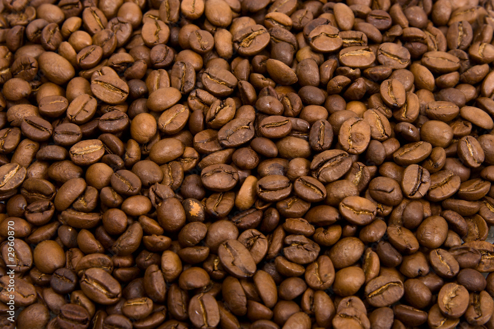 roasted grains of fragrant black coffee