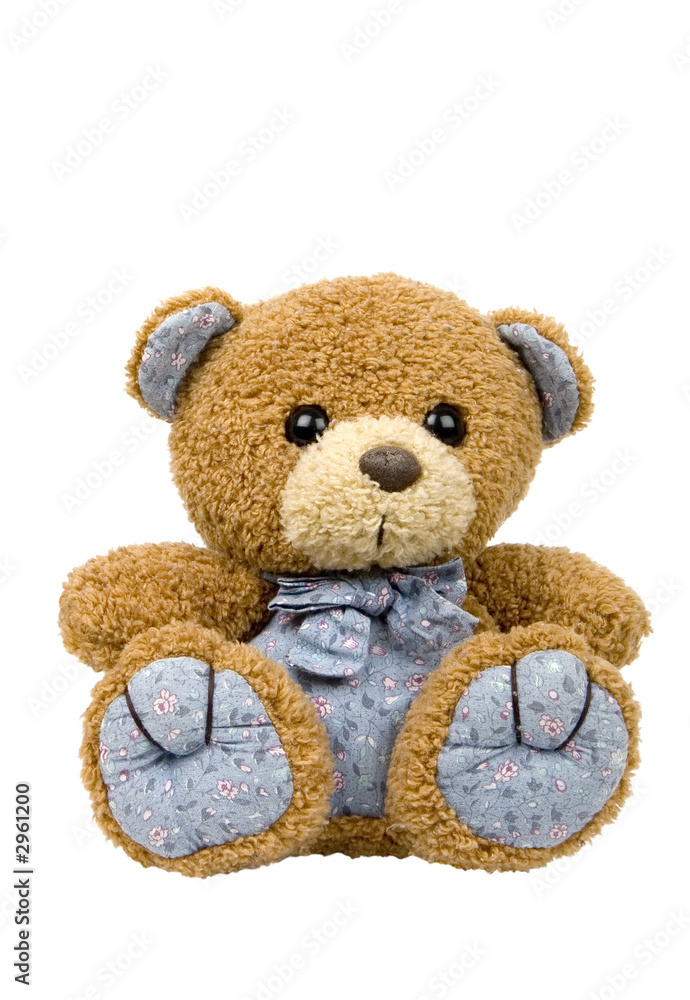 Obraz premium teddy bear