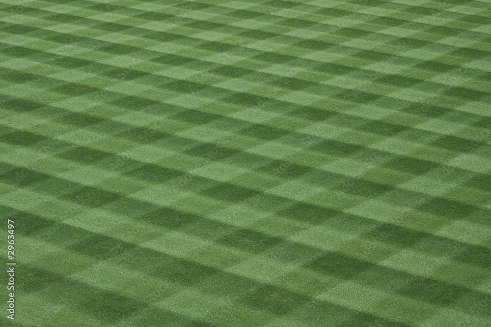 baseball-grass