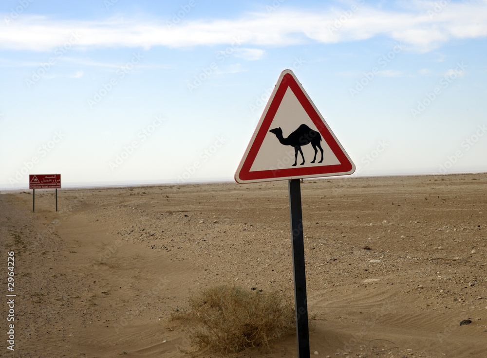 camel sign2
