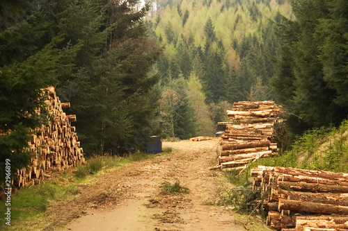 land management 2