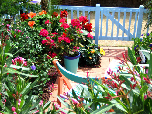 flowers garden