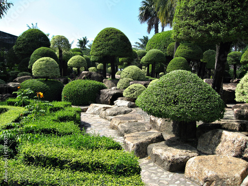 jardin  boule photo