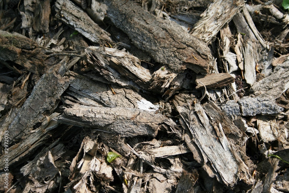 rndenmulch 2 rndenmulch 2
