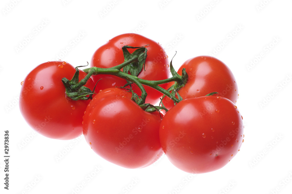 tomatoes