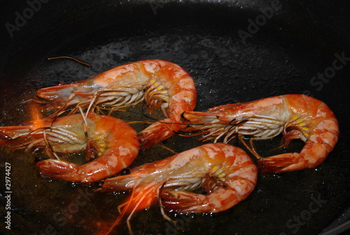 gambas4