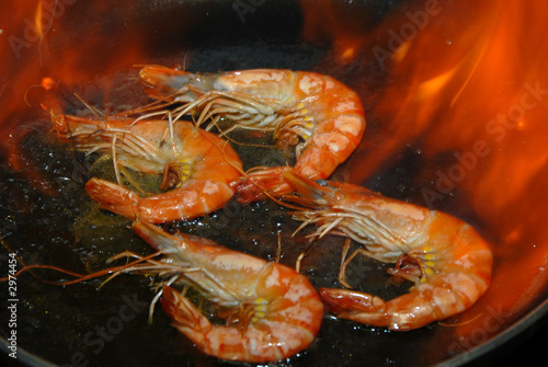 gambas5