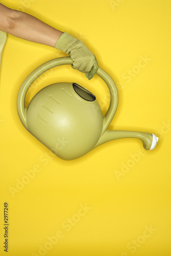 Caucasian woman arm holding watering can.
