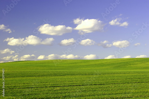 green field and blue cloudy sky
