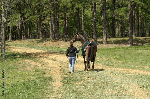 horse walker