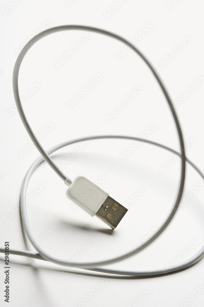 Firewire cord. Firewire cord.