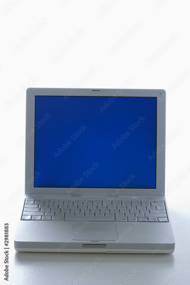 Laptop computer with blue screen. Laptop computer with blue screen.