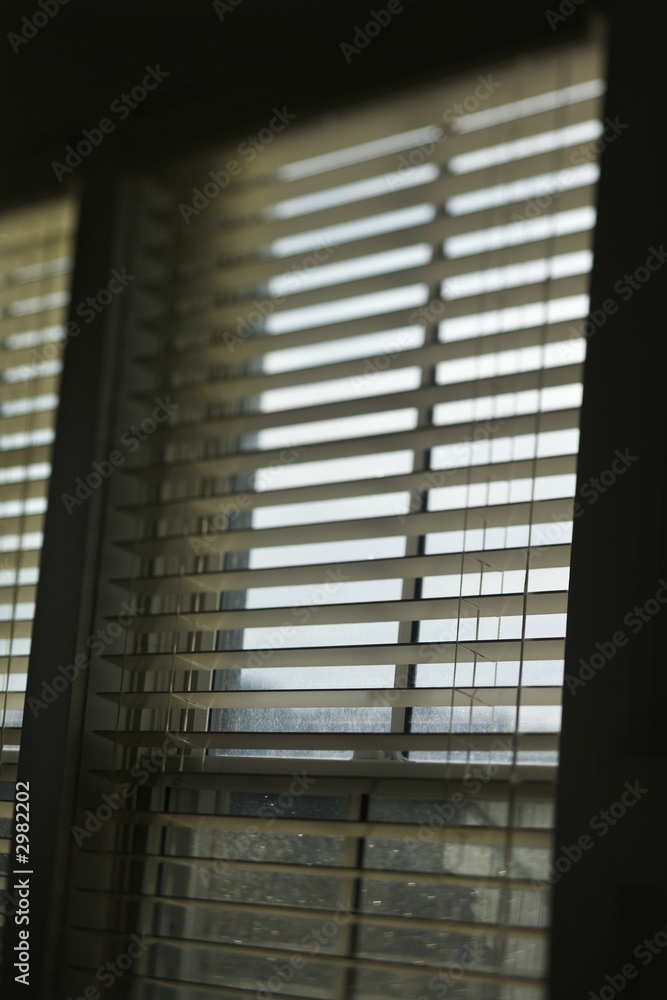Window with open blinds. Window with open blinds.