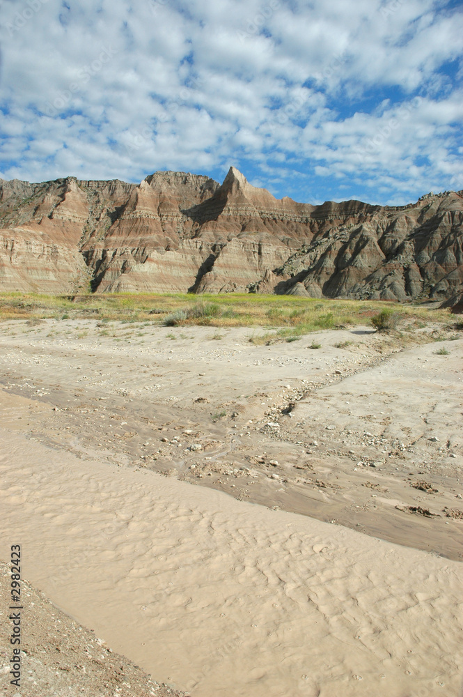 cycles of life in the badlands.