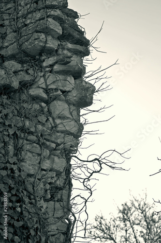 wall