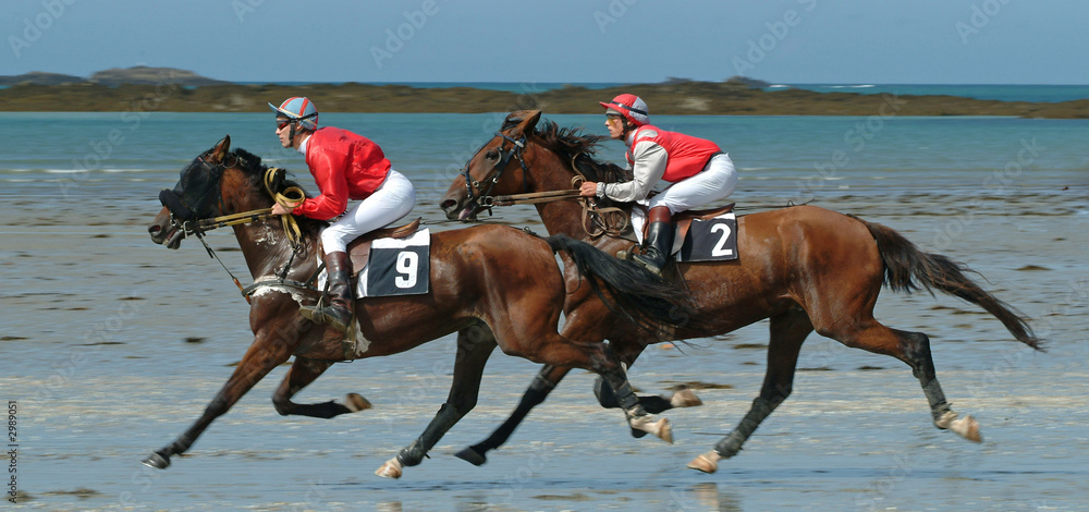 course hippique course hippique