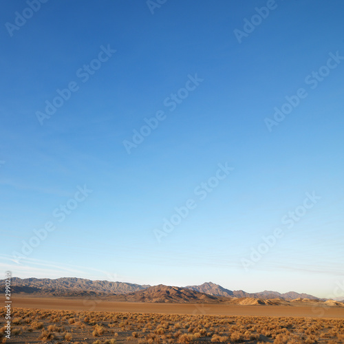 Desert landscape.