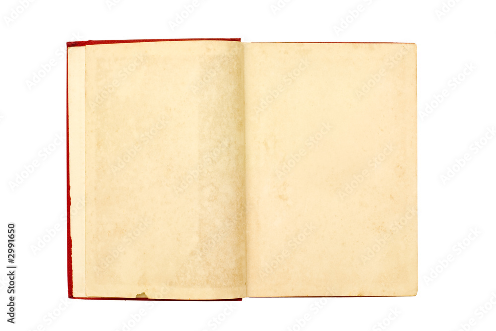 blank pages of a old book