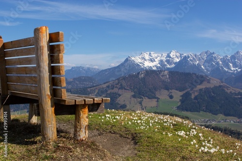 alpenblick photo