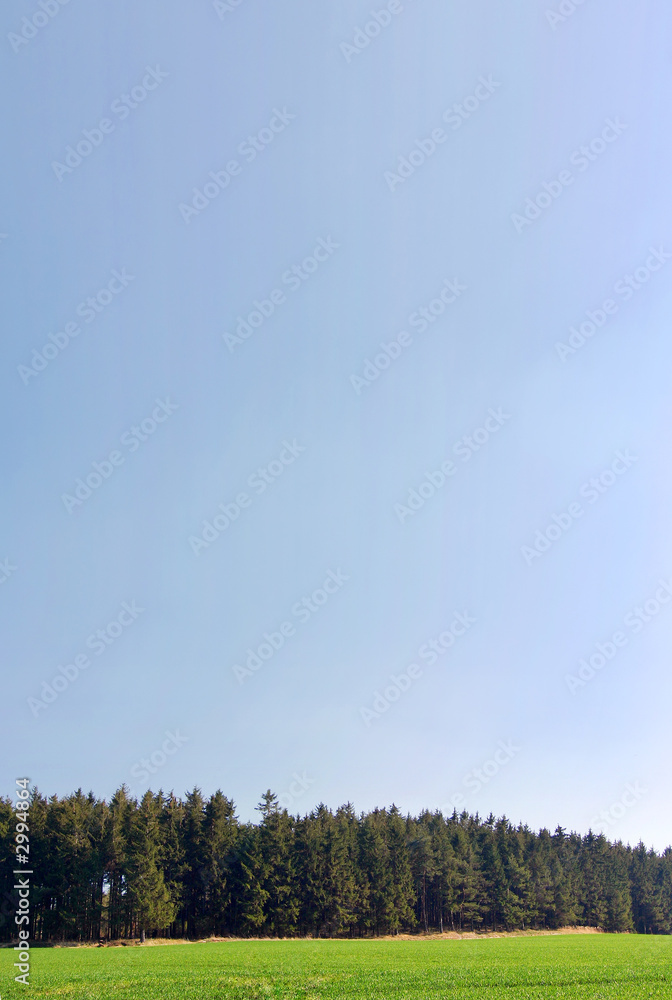 Obraz premium spring countryside - sunny romantic day