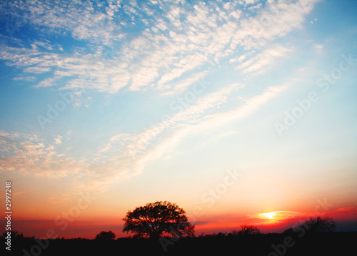 sunset