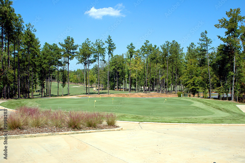 Obraz premium golf course