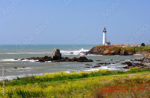 pigeon point lighthouse