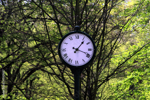 clock in a park