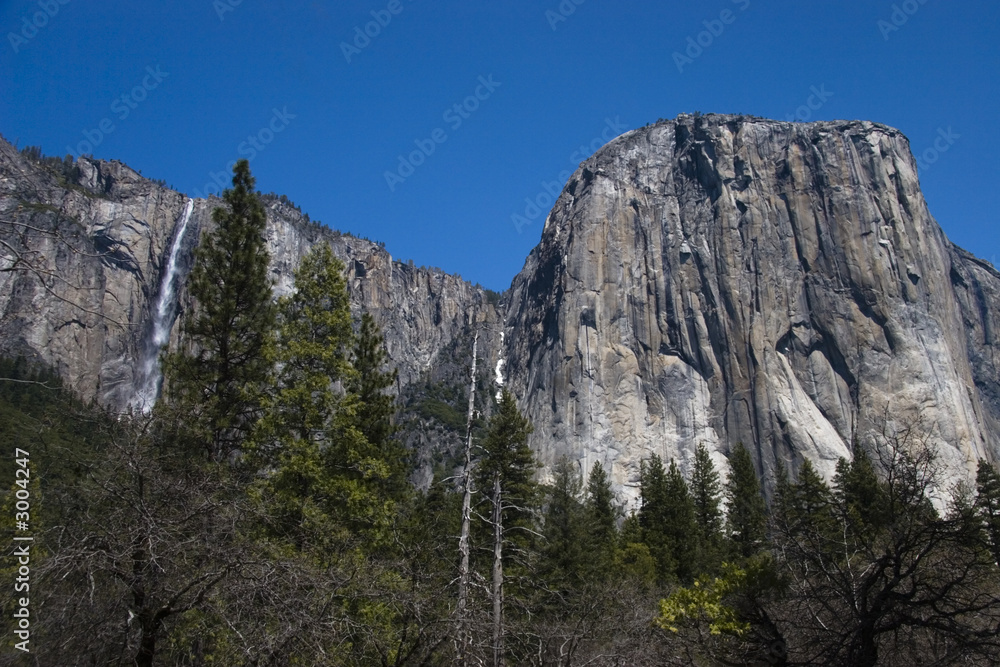 yosemite from the bottom